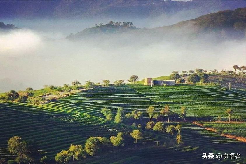 云南绿海明珠普洱,普洱市旅游攻略美食