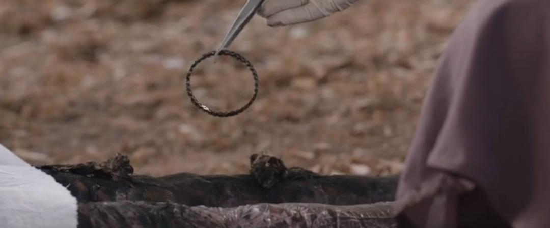 19年最劲爆新片印度,印度新片排第一