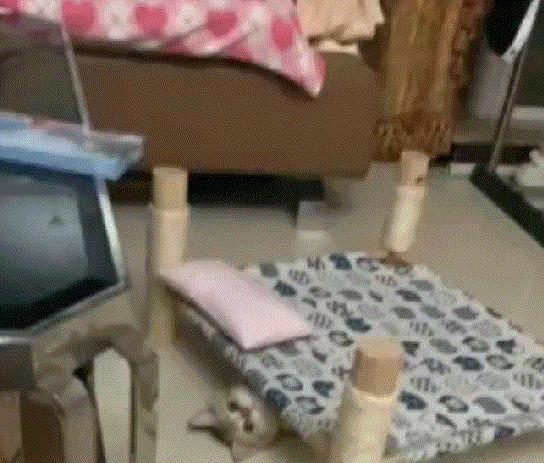 神回复有深度的话,神回复的意思