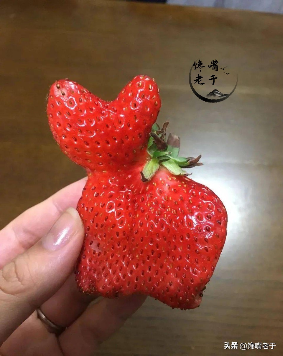 爱吃草莓的千万要注意,喜欢吃草莓的千万别错过