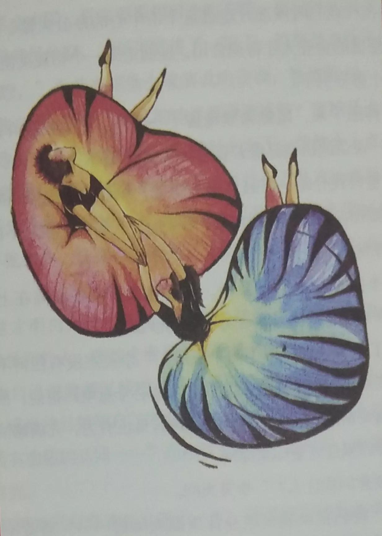 胃出血吃什么食物调养好得快,胃出血的人吃什么饭养胃