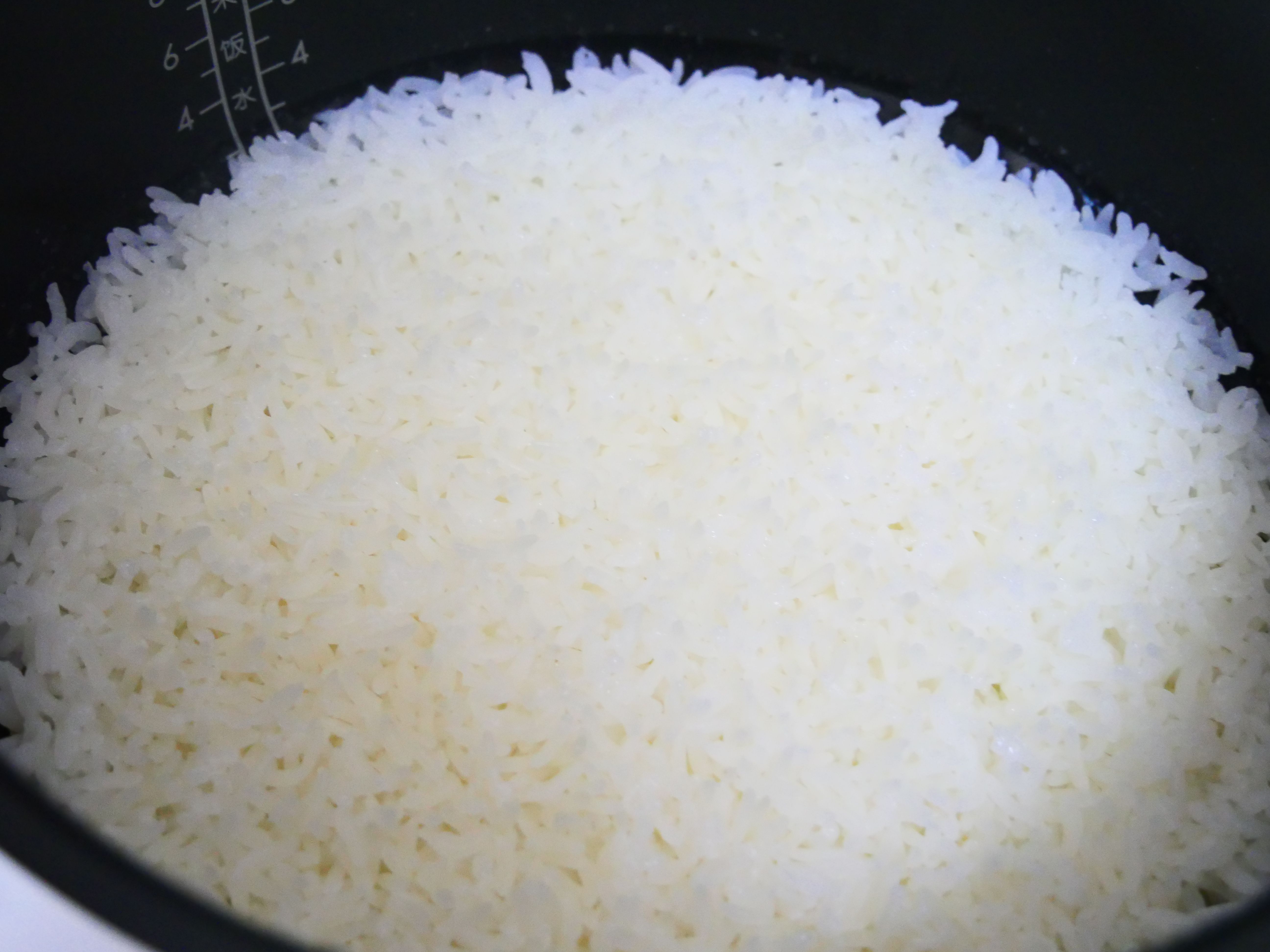 可以做饭的简单电饭煲,能用电饭煲做的简单的饭