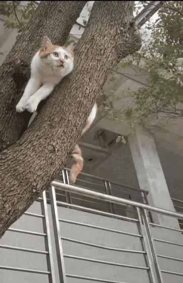 口渴难耐吃什么,口渴快速止渴方法