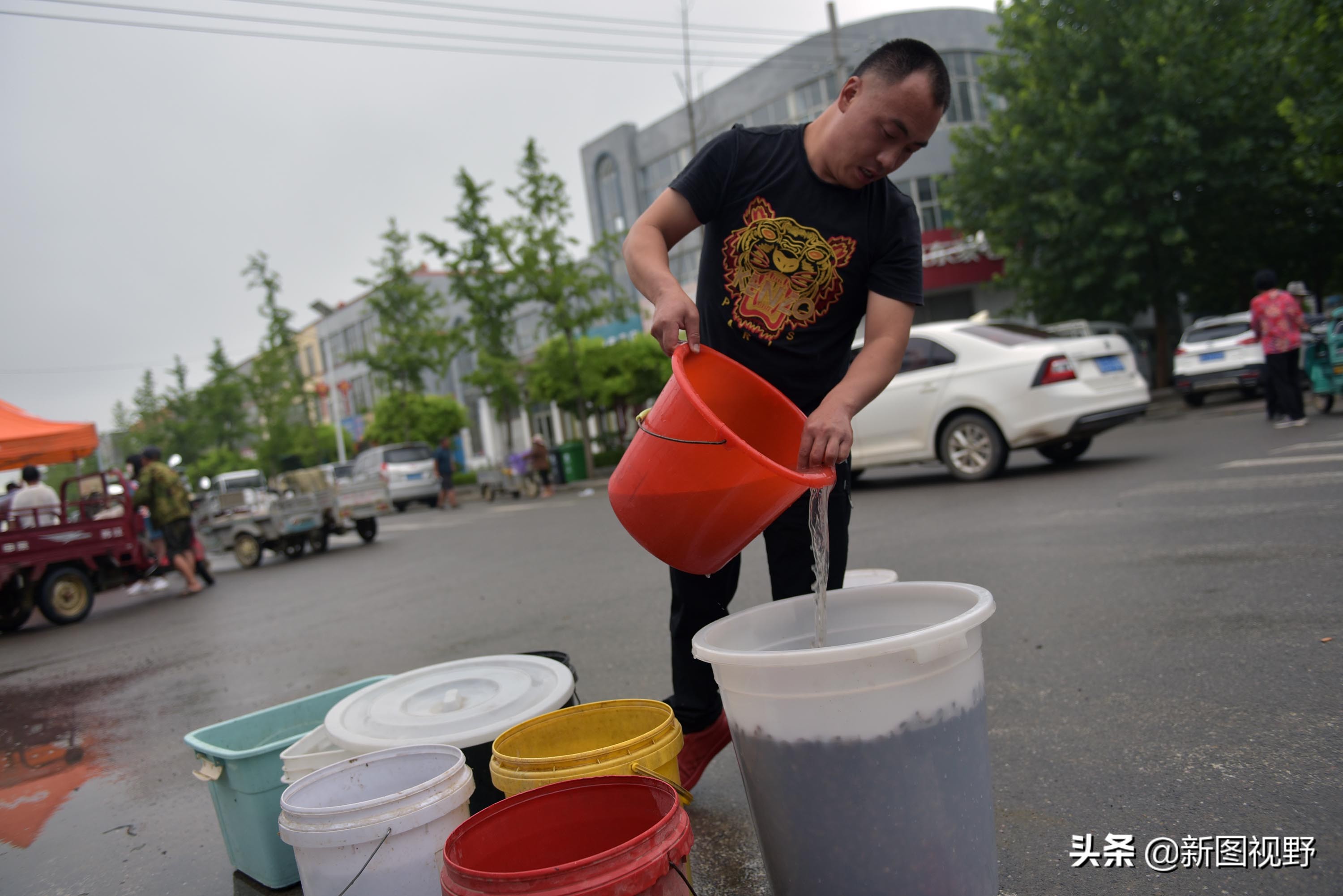 35岁青年网售金蝉爆单，有人一次买2000只，发快递忙得没时间吃饭