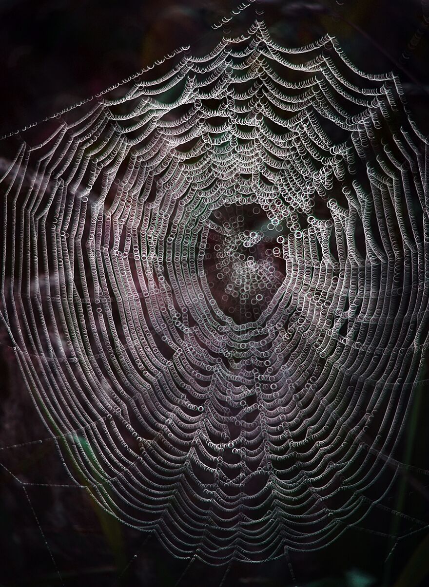 大自然的美景秋天摄影照片,美丽的大自然春夏秋冬图片大全