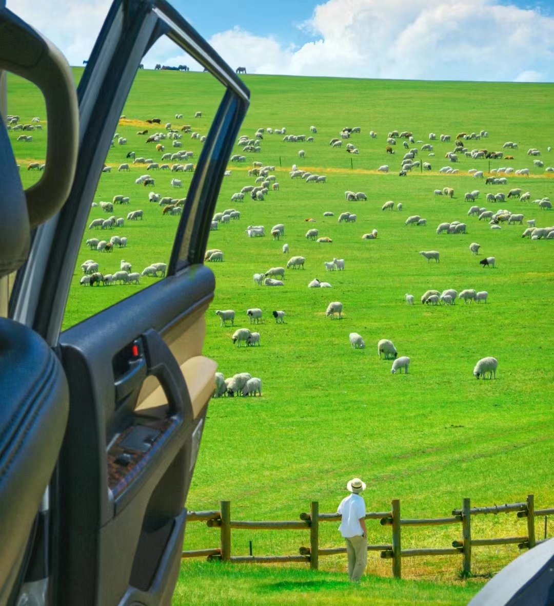 未来的三年什么行业最赚钱,未来三年什么项目最有前景