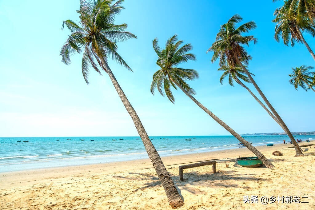 东北话是世界上最动听语言,东北方言都有哪些