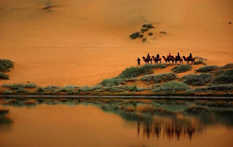 棰濇祹绾虫棗鑳℃潹鏋楅噾鑹茬殑绉嬪ぉ,棰濇祹绾虫棗鐨勯噾鑹茶儭鏉ㄦ灄