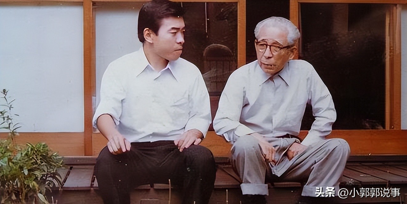 日本花费2.4亿元收购陕西紫光辰济药业，揭开日本在中国中药布局