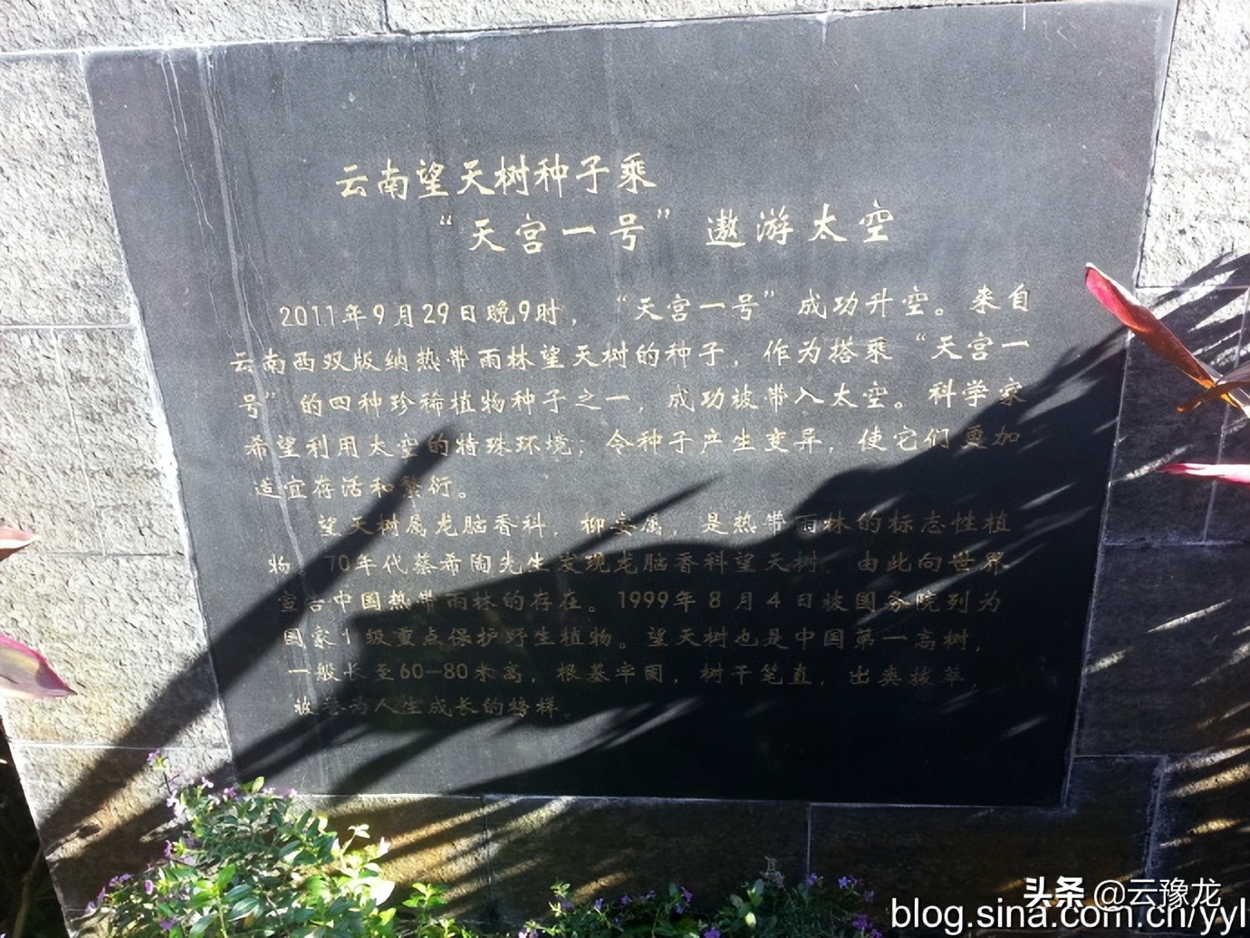 西双版纳磨憨自驾游攻略,自驾游云南版纳旅游攻略