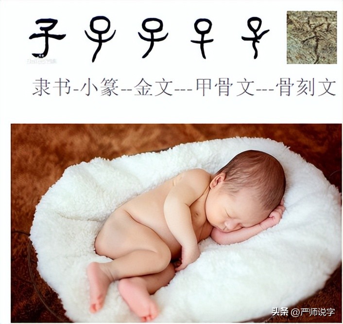 汉字偏旁部首精讲系列十五,汉字偏旁部首名称表最全最完整