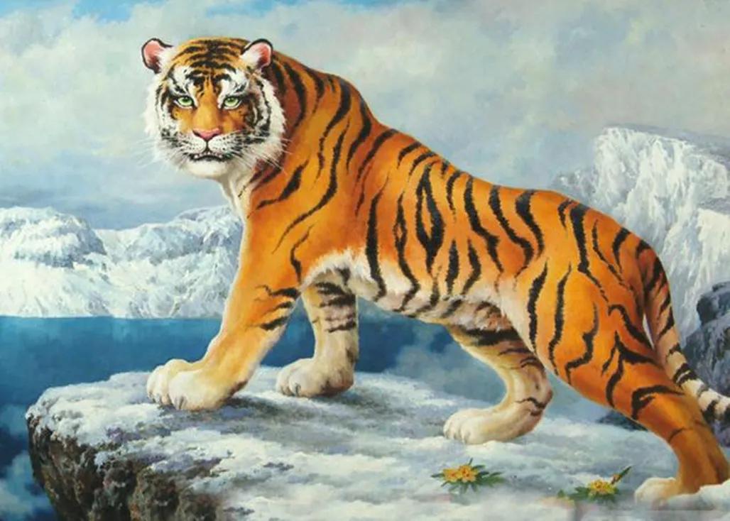 带虎的成语50个,带虎的简单成语200个