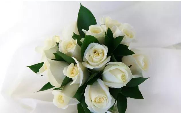 玫瑰花花语,玫瑰花花语列表