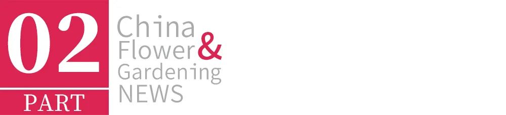 鄢陵模式,2023年鄢陵的发展