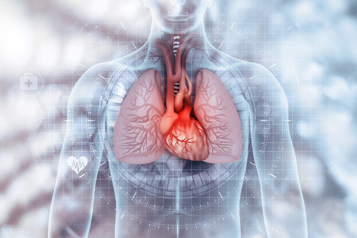 2药延长咳嗽潜伏期，溶解黏痰，抗炎平喘，提高免疫，改善肺功能