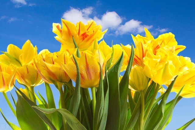 男人如何提升气质和自己魅力,女生如何提升自己的气质