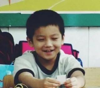 国乒马龙樊振东,樊振东国乒一哥