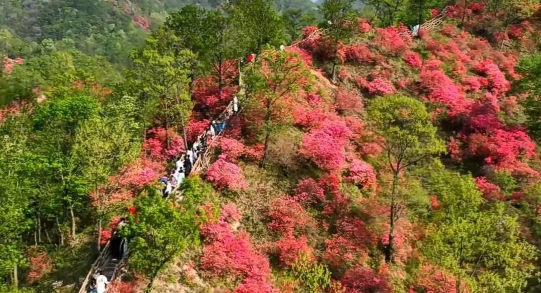 汝阳县行政村名（社区）你知道几个