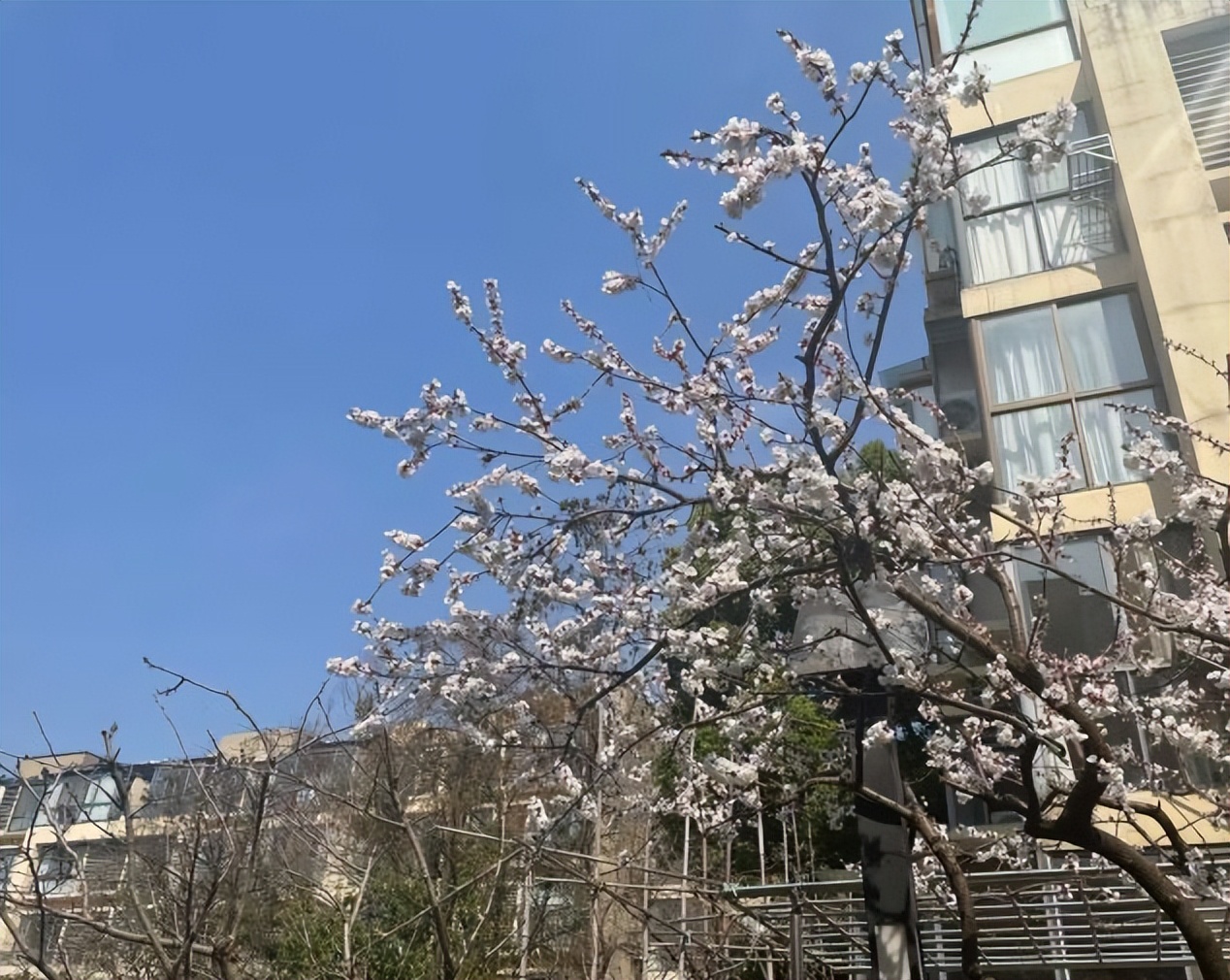 2024国考备考资料网课,应届生国考2024怎么报名