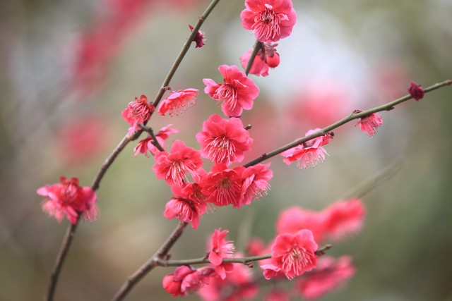 2022年优秀高考作文范例全国甲卷,2022全国乙卷英语高考作文怎么写