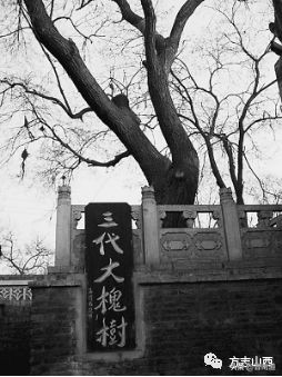 问祖先何处来山西洪洞大槐树,问我祖先在何处山西洪洞大槐树