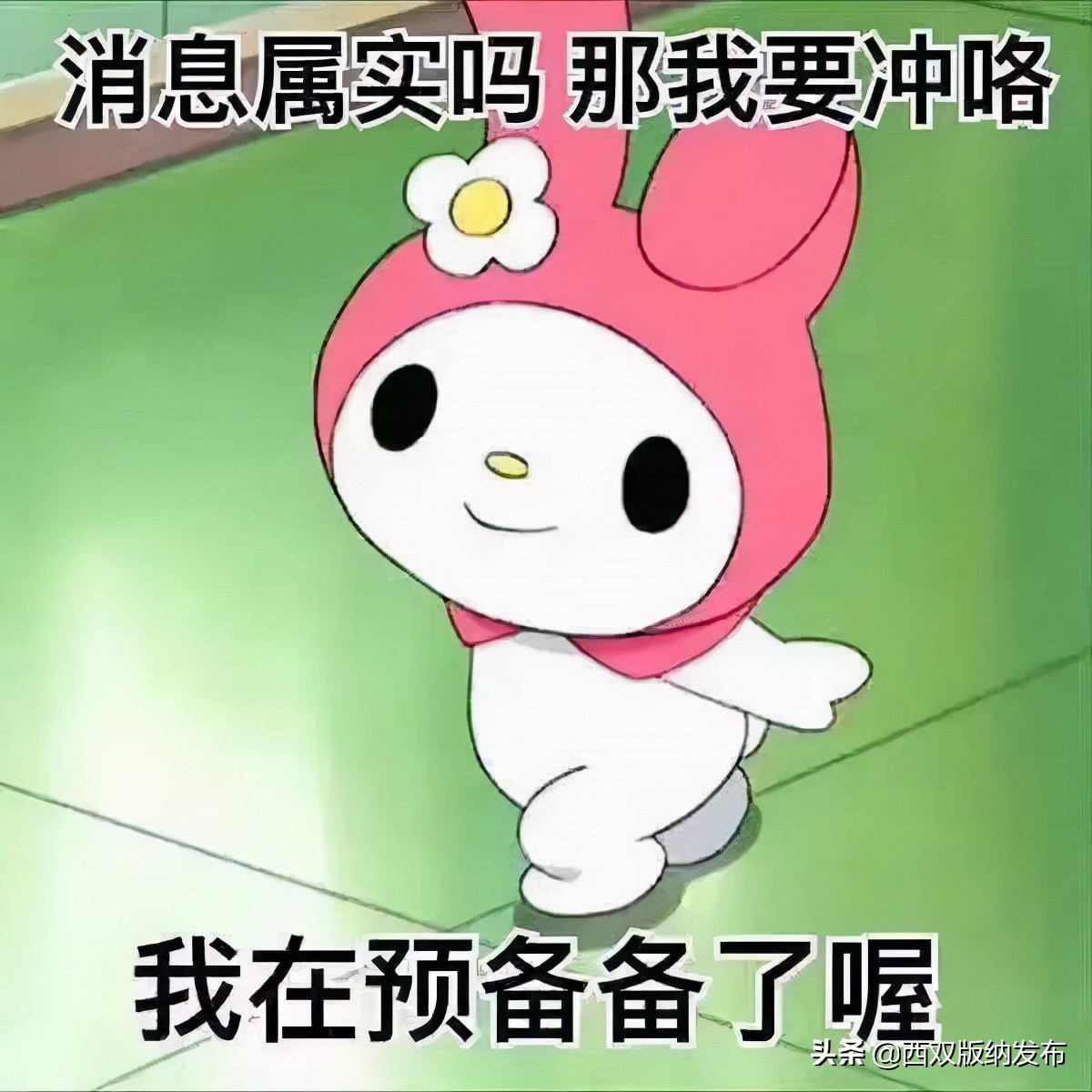 青动态|@西双版纳的大学生：2022年景洪市寒假“返家乡”社会实践活动来啦，200余个岗位虚位以待！