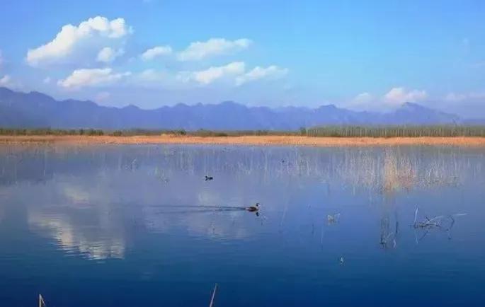 北京清明踏青旅游攻略,北京适合清明游玩的公园