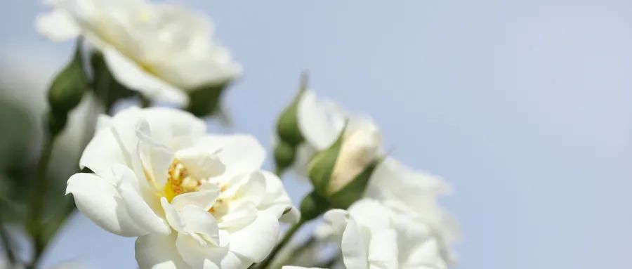 夏天补津液的最佳方法,津液不足燥热吃什么药