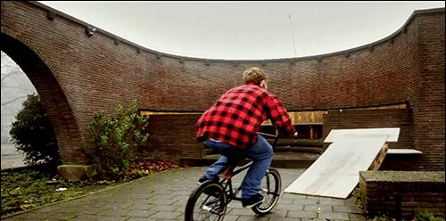 真实大象的照片,在野外拍到的真实大象