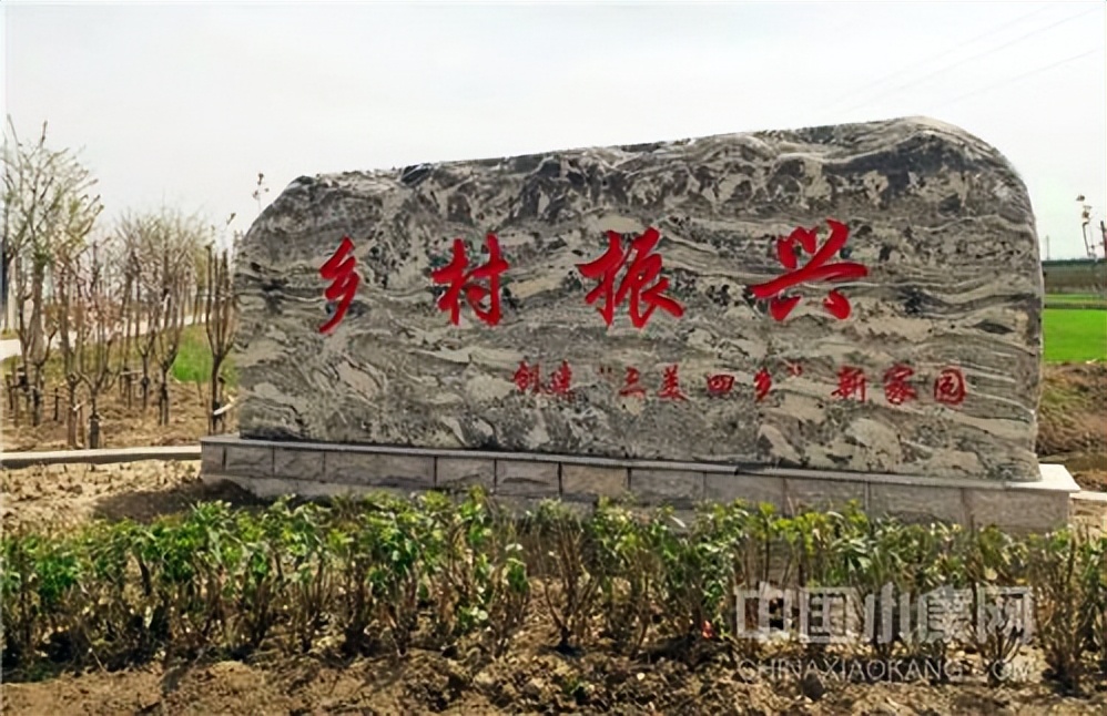 天津市乡村振兴典型案例,小村大事免费阅读