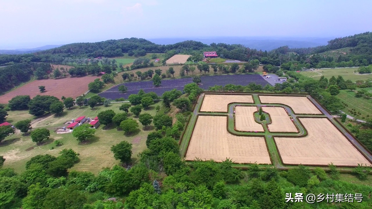 【推荐】日本馆森方舟牧场：让农业变成年轻人梦想的魅力产业