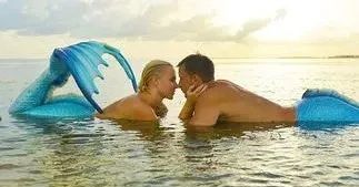 新型小吃肥肠,摆摊肥肠小吃卖多少钱一份