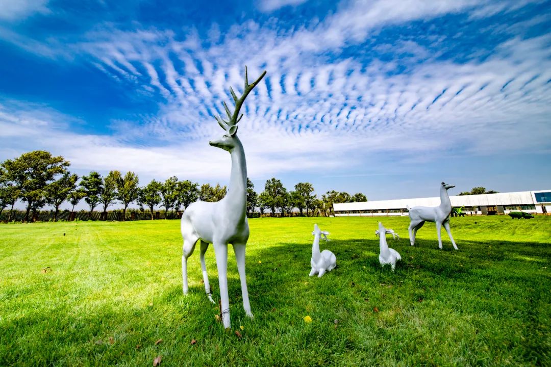 休闲农业与乡村旅游项目分析,休闲农业与乡村旅游什么时候开始