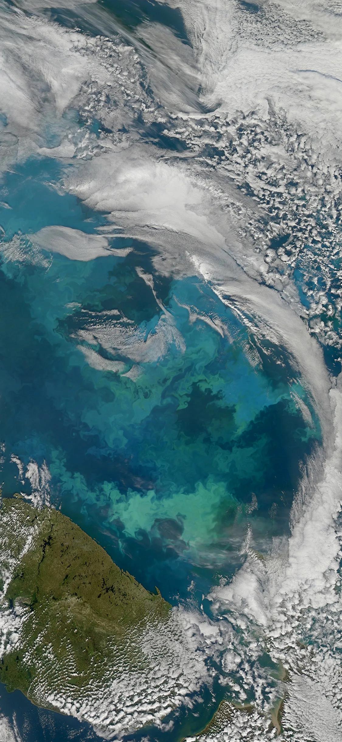 苹果14最新壁纸,你们要的壁纸来了