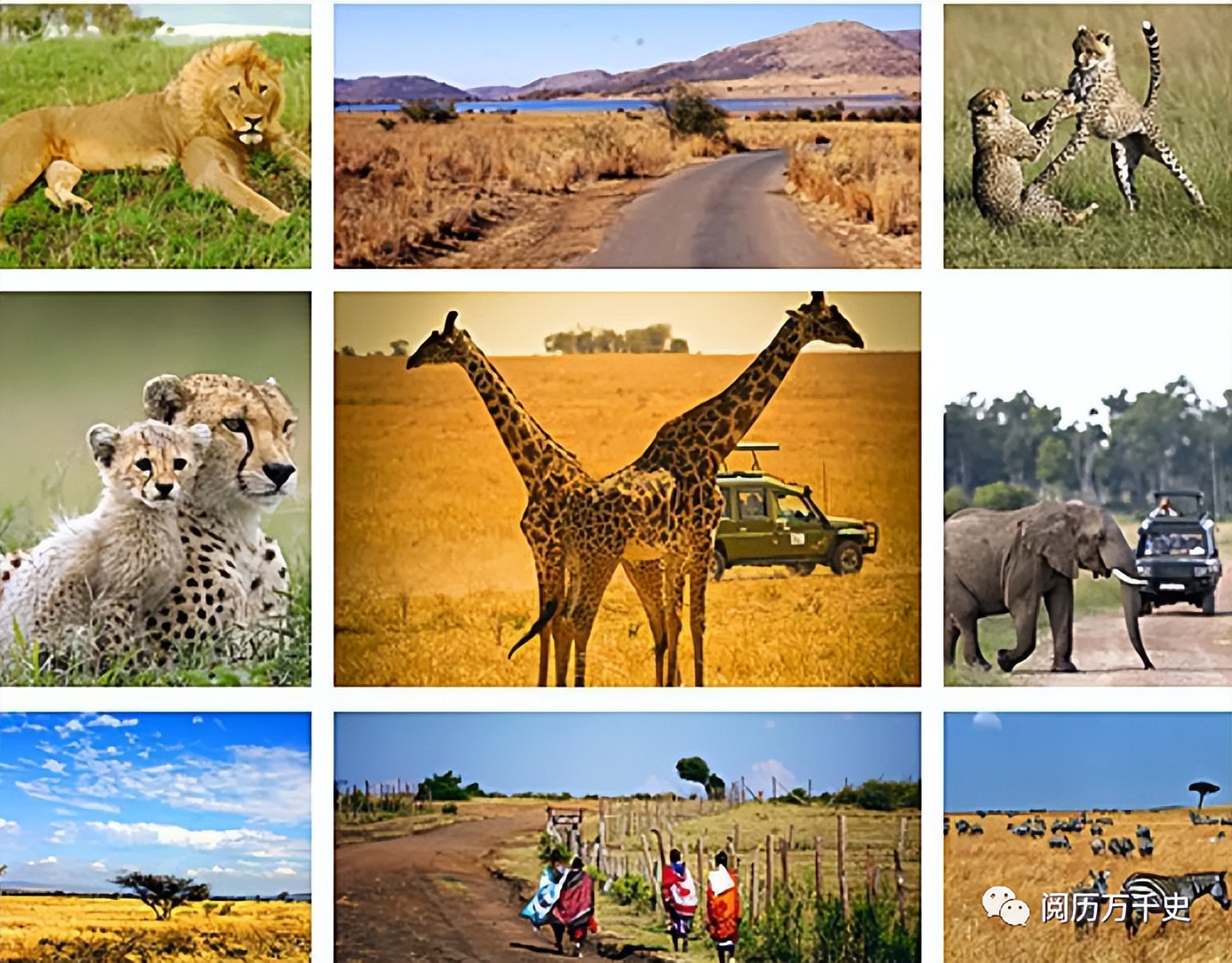 每天了解一个国家视频,每天了解一个国家巴勒斯坦