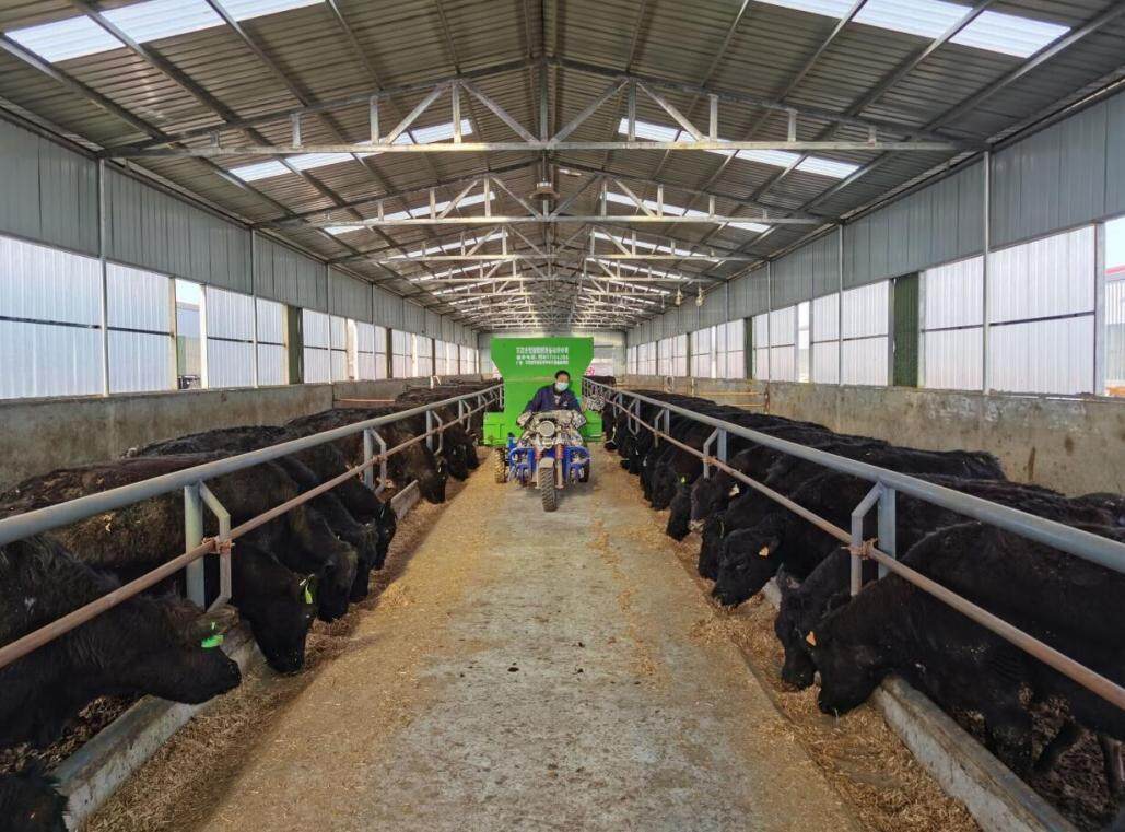 姚振杰庆城,庆城原县委书记姚振杰