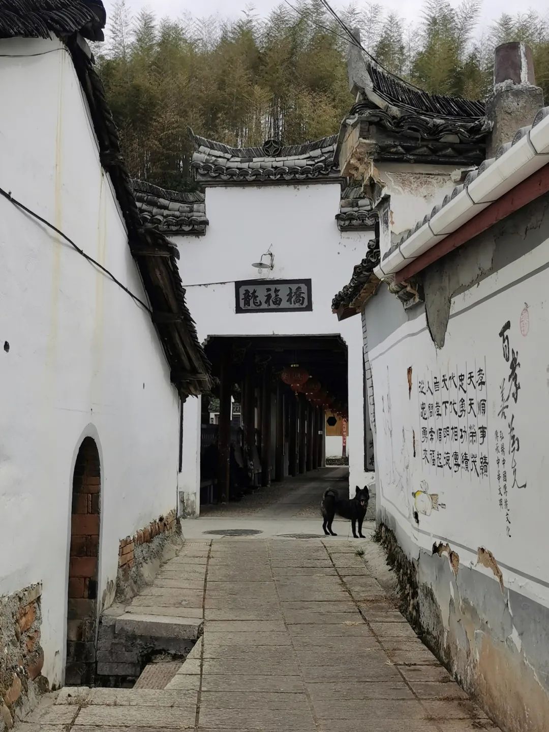 浙西南环游，喜欢龙泉，一座干干净净的山间小城