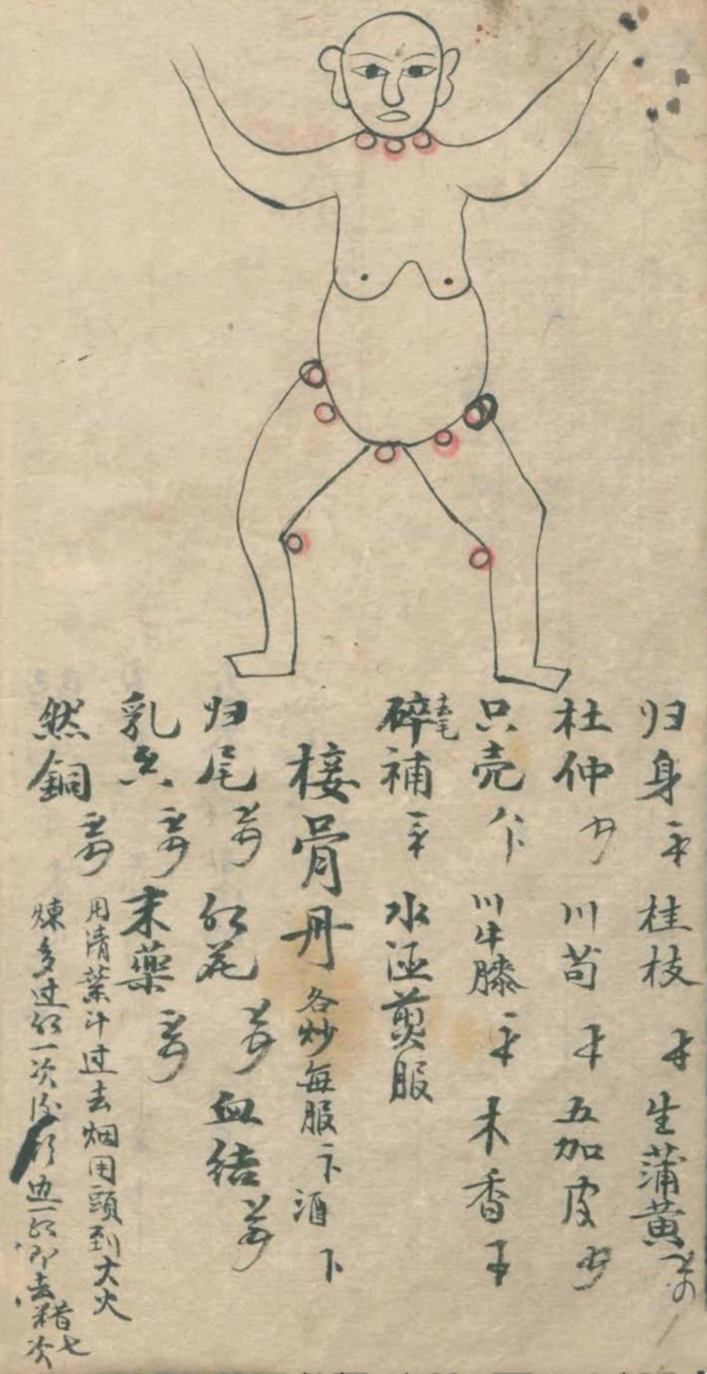 最实用的跌打药方,祖传跌打秘方100首