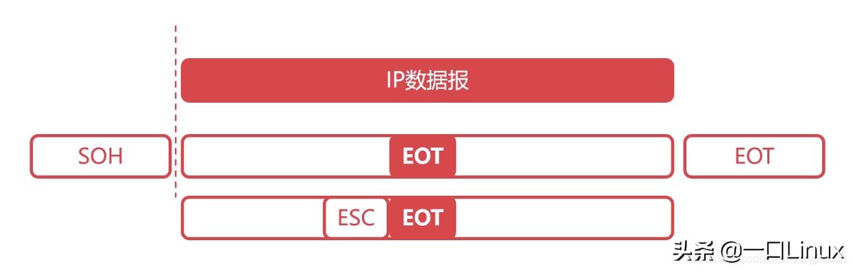 计算机网络技术实训总结,计算机二级office知识点总结