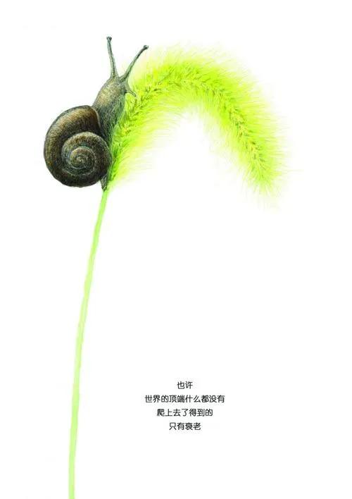 蜗牛高清壁纸4k全屏,蜗牛唯美动画壁纸