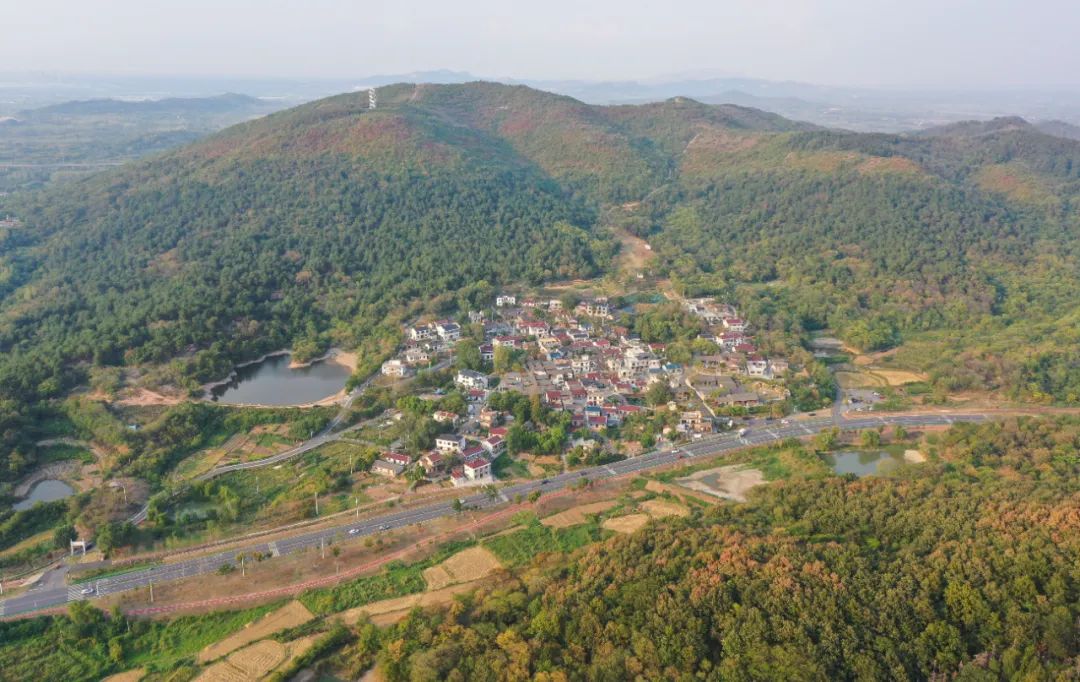 合肥肥东未来发展如何,合肥肥东未来十年发展