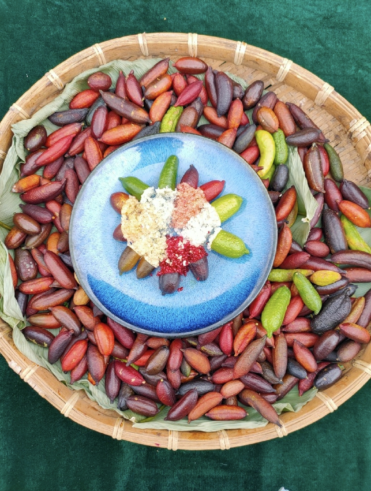 800元一斤的柠檬、最高亩产值20万元的柑橘，你知道这2种水果吗