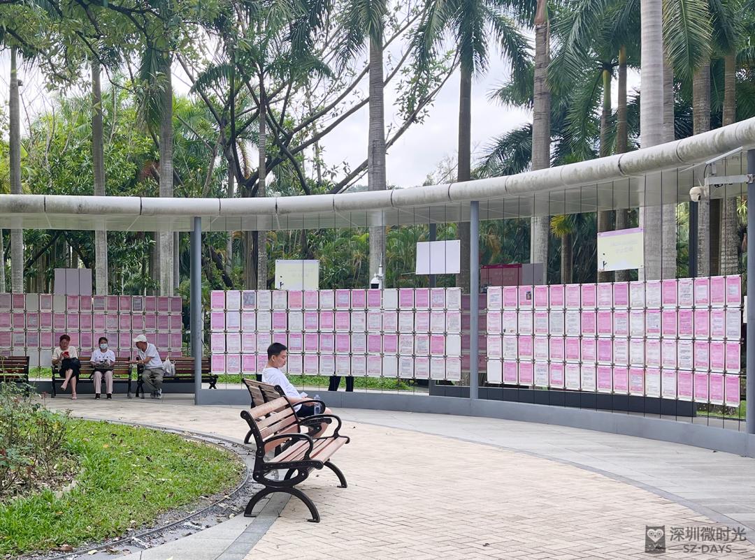 莲花山相亲角案例,莲花山相亲角成功几率