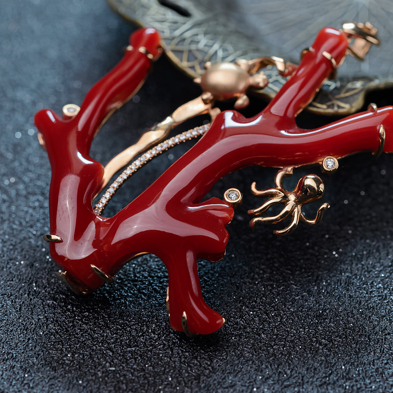 台湾行完整版,台湾渔民钓到红珊瑚