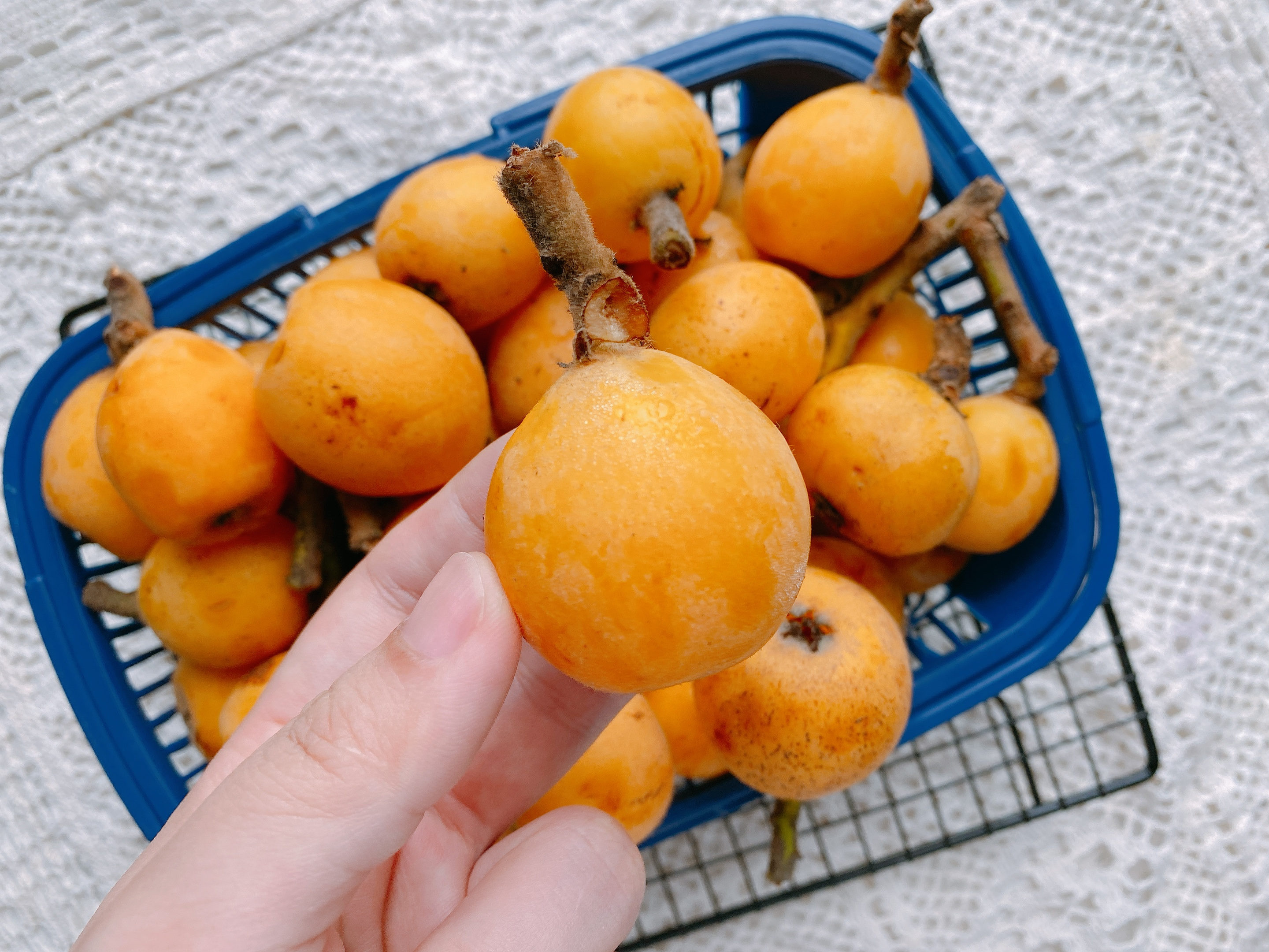 最适合泡酒的水果排行榜,水果泡酒排行榜前十名柠檬泡酒