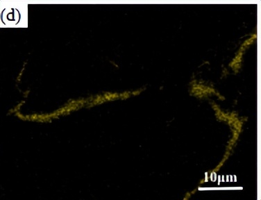 中北大学赵宇宏教授团队:石墨烯纳米片/AZ91D镁基复合材料腐蚀行为研究