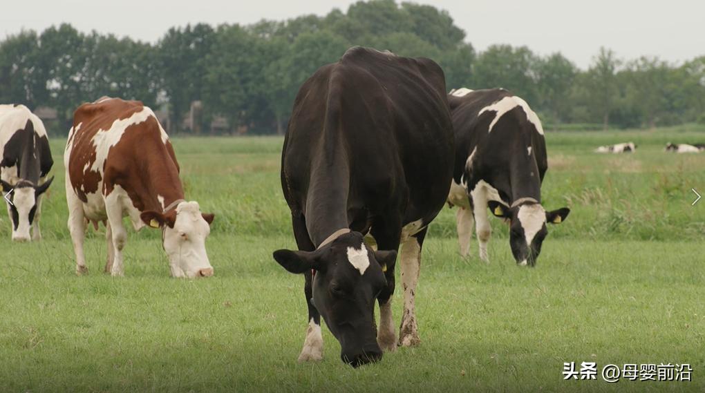 升级A*奶2**源,海普诺凯1897萃护以实力领跑高端婴配粉市场