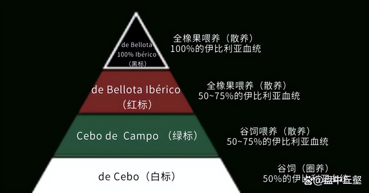 浙江土豪伊比利亚火腿,消博会商品价格