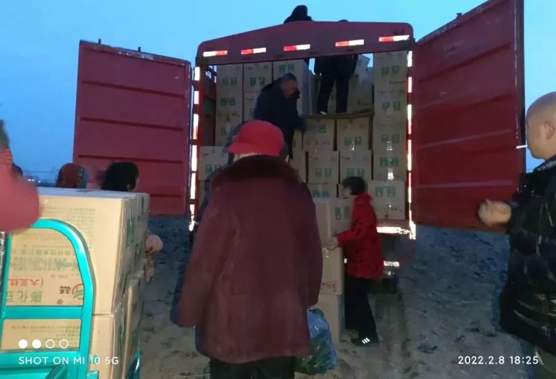 城市白领到年卖10万吨大蒜的女强人，河南杞县女老板林林如何做到