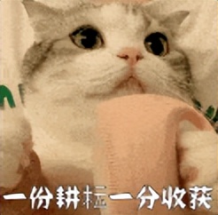 2019年的微信红包记录在哪里,微信的每笔红包能否查出来